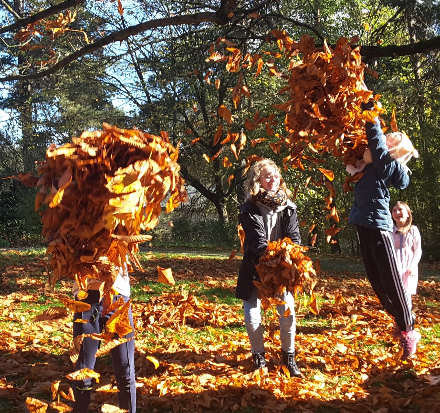 Four children playing in a pile of autumn leaves